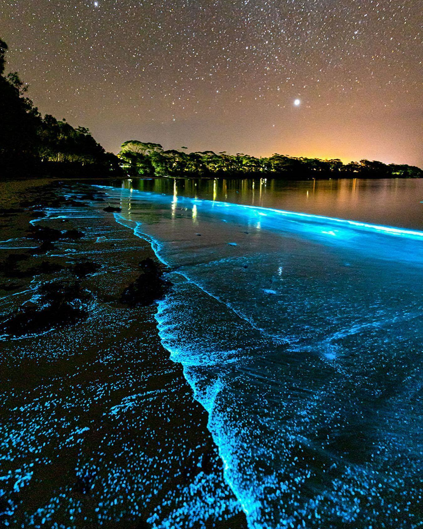 Г фитопланктон. Остров Ваадху Мальдивы. Остров Фуладху Мальдивы. Остров Ваадху, Мальдивы. Планктон. Остров Ваадху Мальдивы светящийся планктон.